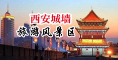 鸡巴怪物用鸡巴操女生的逼逼中国陕西-西安城墙旅游风景区